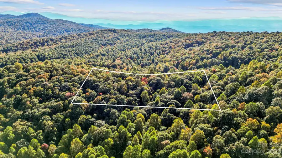 954 River Ridges Road, Hendersonville, NC 28739 - Image #3