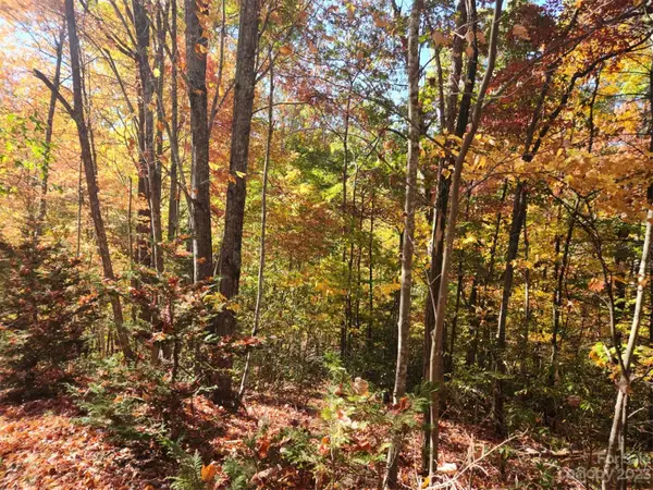 00 Angel Of The Lake Drive #17, Lake Lure, NC 28746