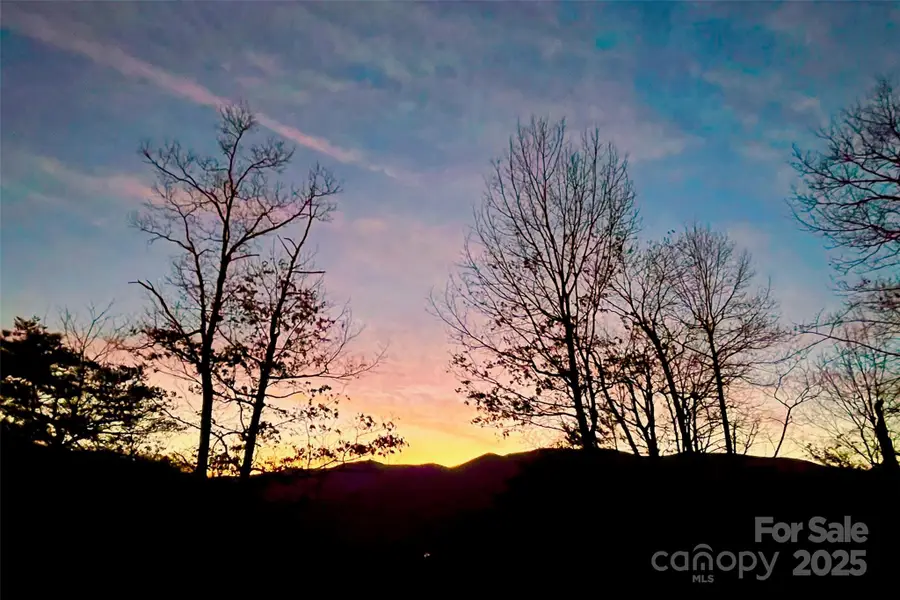 9999 Sourwood Road, Canton, NC 28716 - Image #3