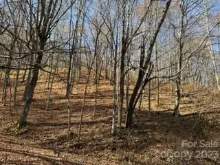 00 Tawodi Trail #13, Maggie Valley, NC 28751 - Image #1