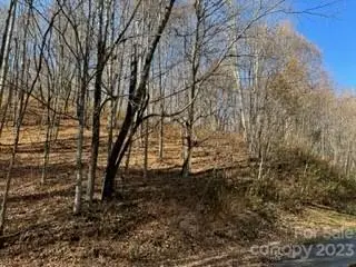 00 Tawodi Trail #13, Maggie Valley, NC 28751 - Image #3