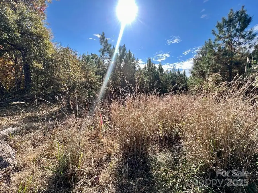 11.53 acres Old Camden Highway, Lancaster, SC 29720 - Image #3