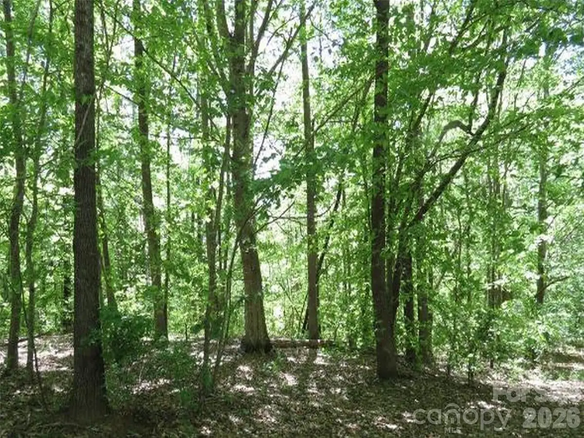 0 General Griffith Circle #25, Rutherfordton, NC 28139 - Image #1