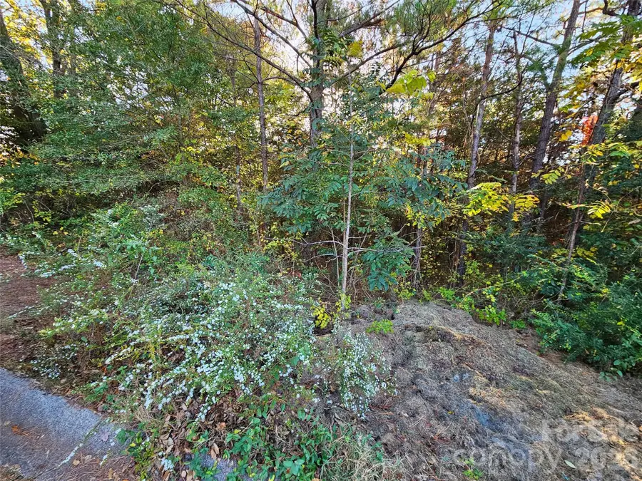 0 General Griffith Circle #25, Rutherfordton, NC 28139 - Image #3