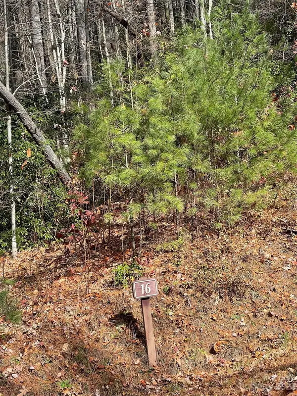 0000 Juniper Berry Lane, Zirconia, NC 28792