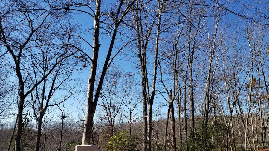 9999 Galax Lane #G-11, Brevard, NC 28712 - Image #2