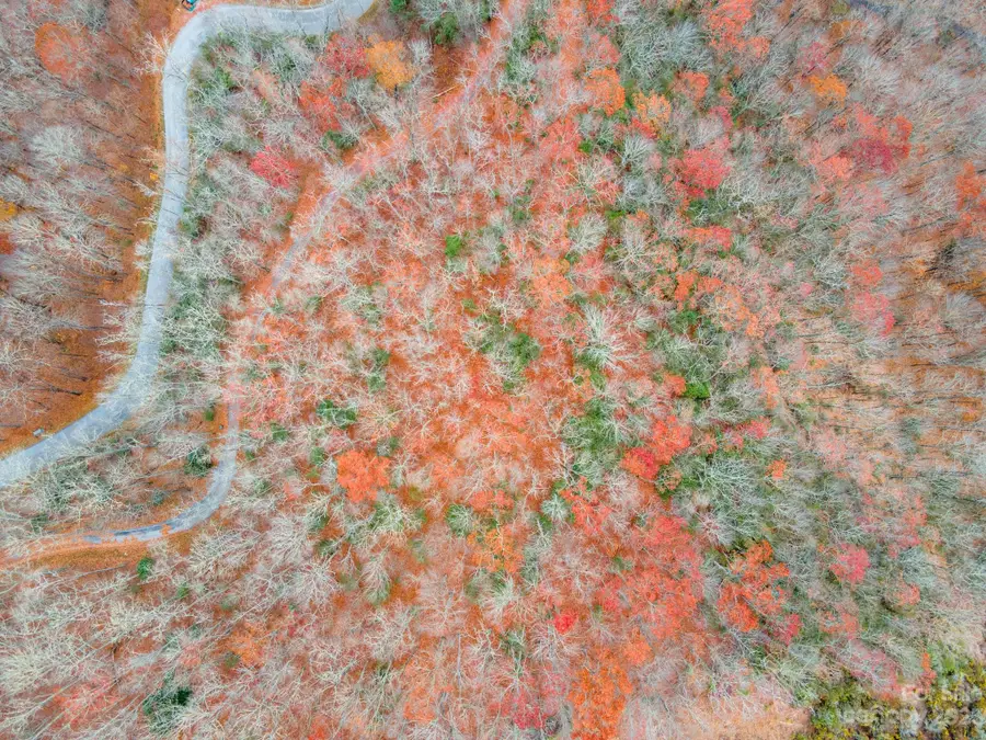 Lot 133 Lake Forest Drive #133, Tuckasegee, NC 28783 - Image #3