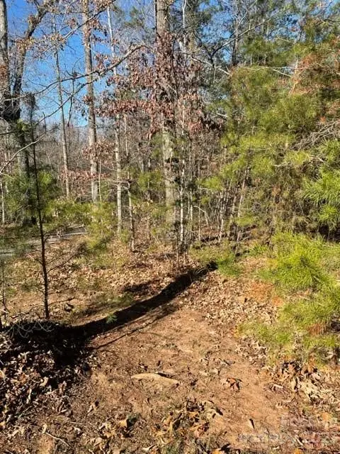 0 Holly Forest Drive, Rutherfordton, NC 28139 - Image #2