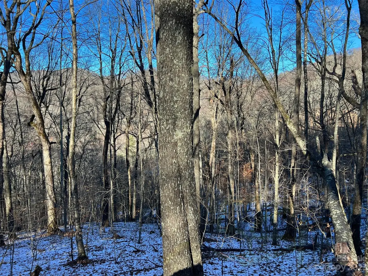 000 El Miner Drive #551, Mars Hill, NC 28754 - Image #1