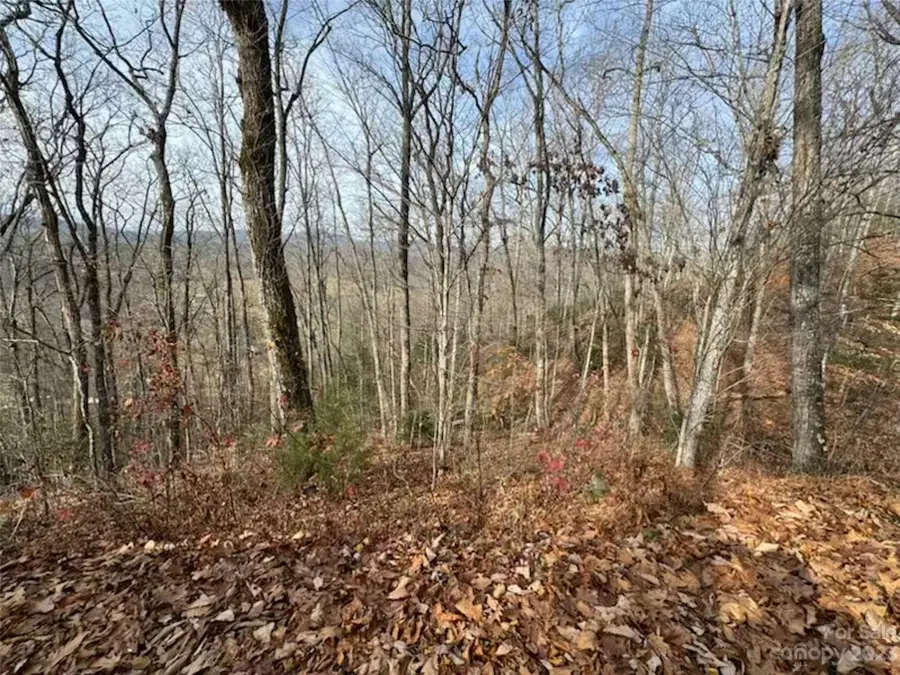 Lot 17 Franklin Farm Road, Franklin, NC 28734 - Image #3