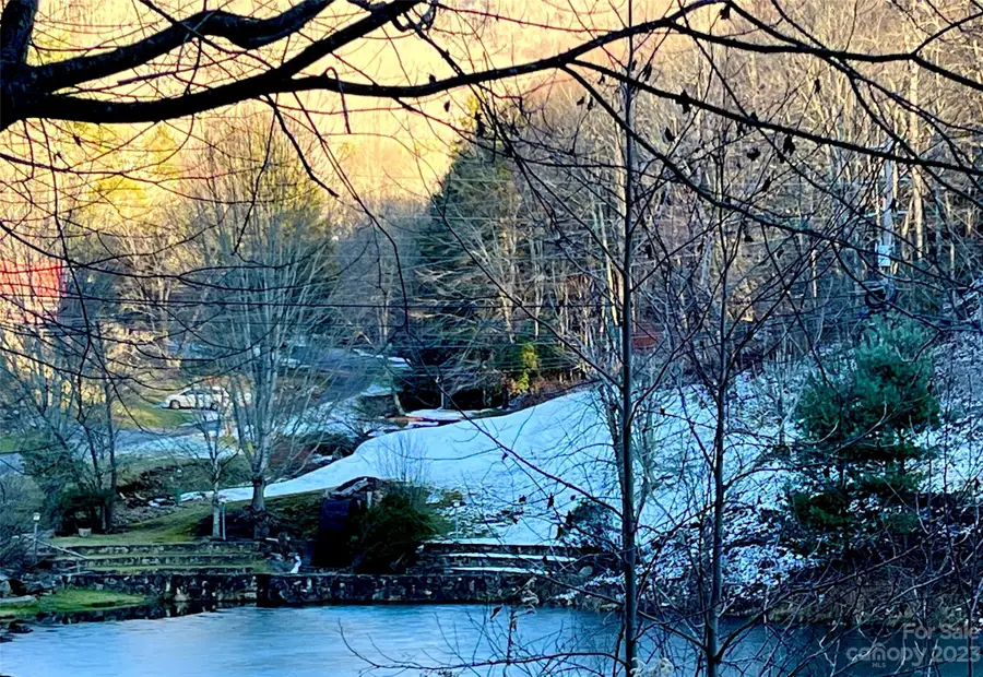 000 Puncheon Lane #151, Mars Hill, NC 28754 - Image #2