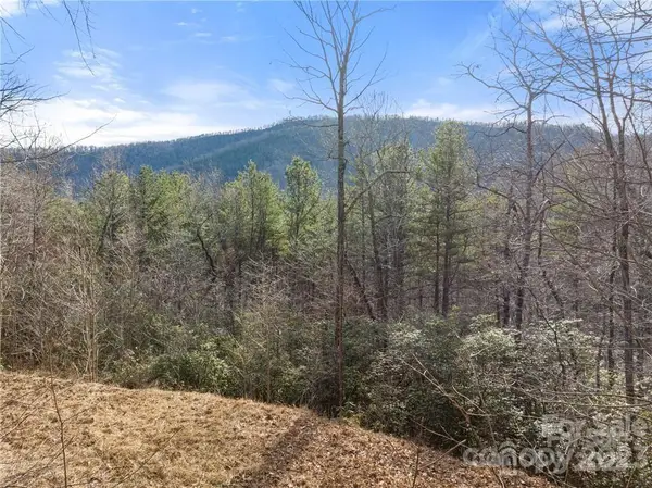 28 Trillium Lane #C-1, Black Mountain, NC 28711