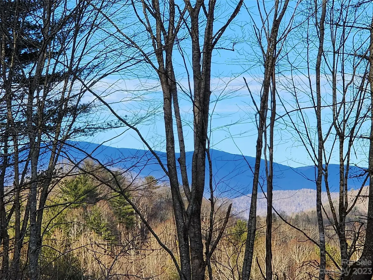 000 Double Island Road, Green Mountain, NC 28740 - Image #1