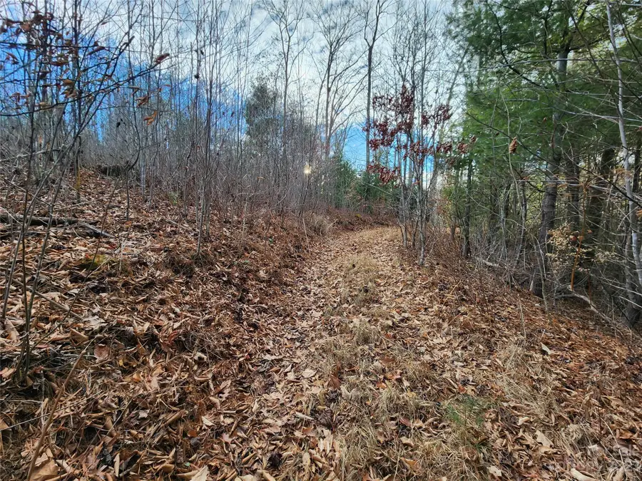 000 Double Island Road, Green Mountain, NC 28740 - Image #2