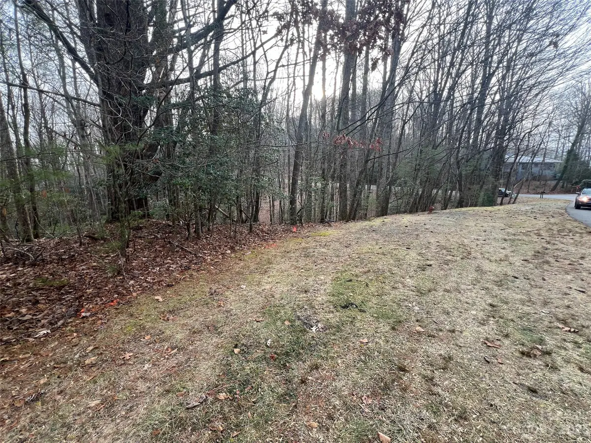 999 Usdasdi Drive, Brevard, NC 28712 - Image #1