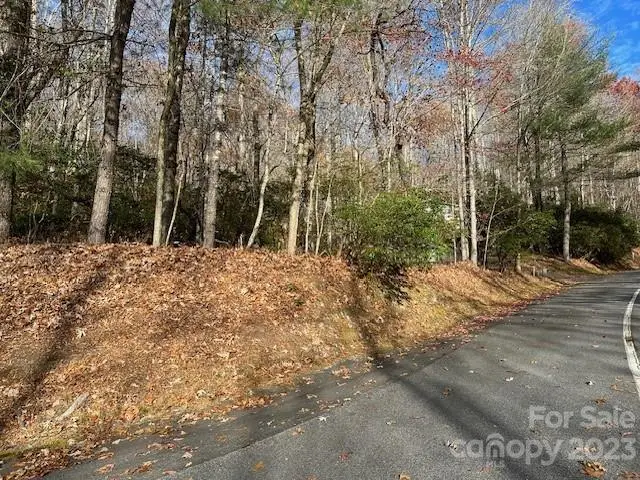 TBD Echota Lane, Brevard, NC 28712 - Image #1