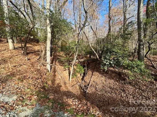 TBD Echota Lane, Brevard, NC 28712 - Image #2