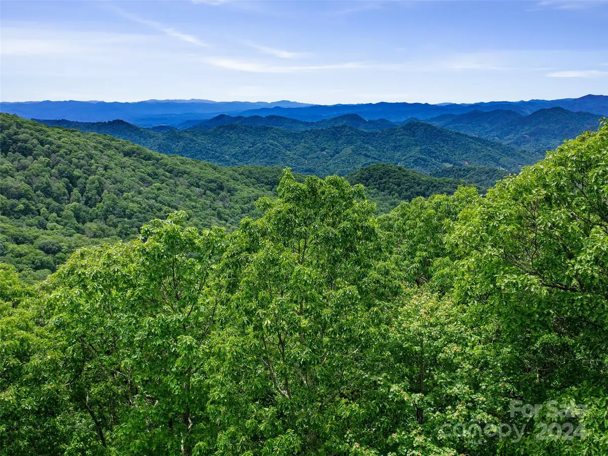Lot 17 Old Growth Forest Road, Burnsville, NC 28714 - Image #1