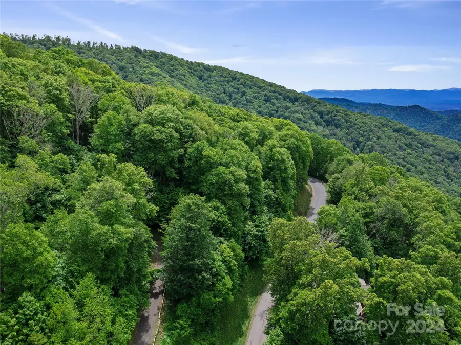 Lot 17 Old Growth Forest Road, Burnsville, NC 28714 - Image #2