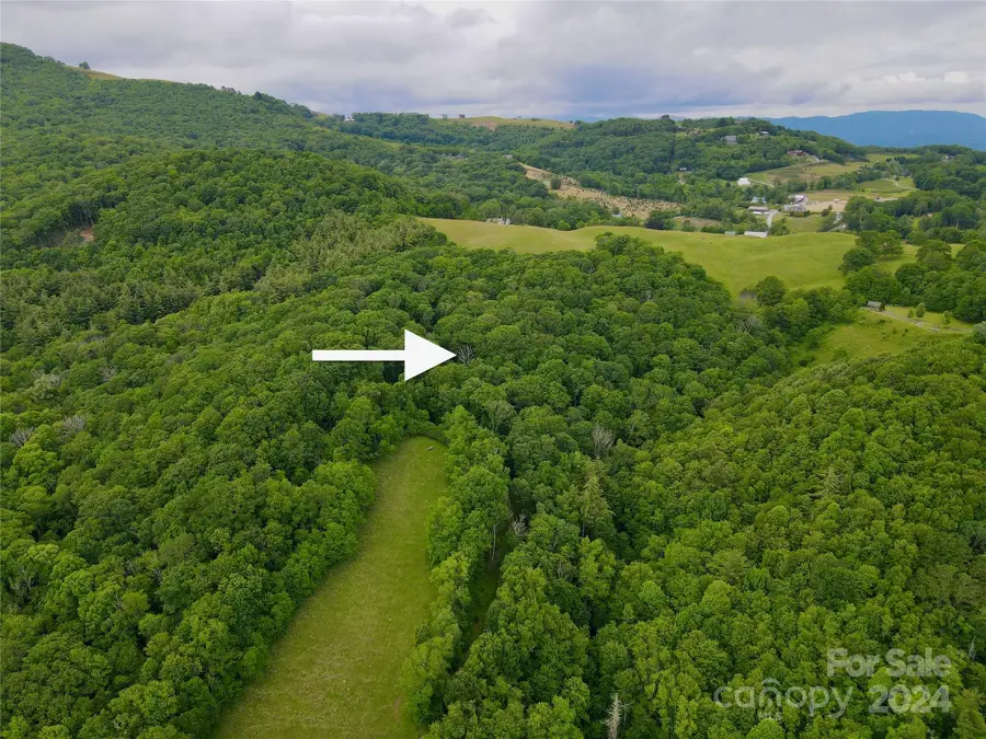 149 Painter Road, Banner Elk, NC 28604 - Image #3