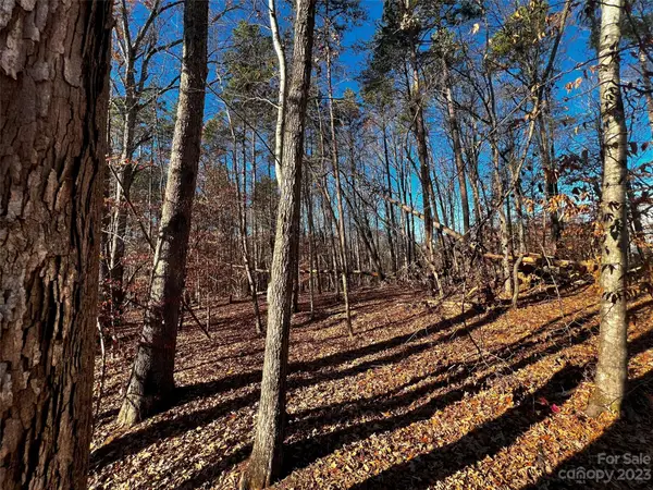 138 Copper Pine Lane #2, Davidson, NC 28036