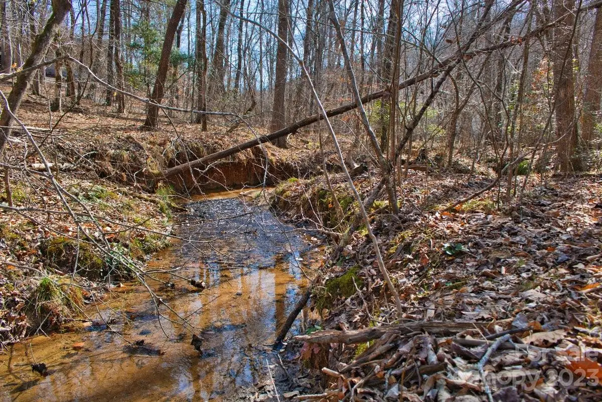 0 Woodstock Lane #170, Rutherfordton, NC 28139 - Image #1