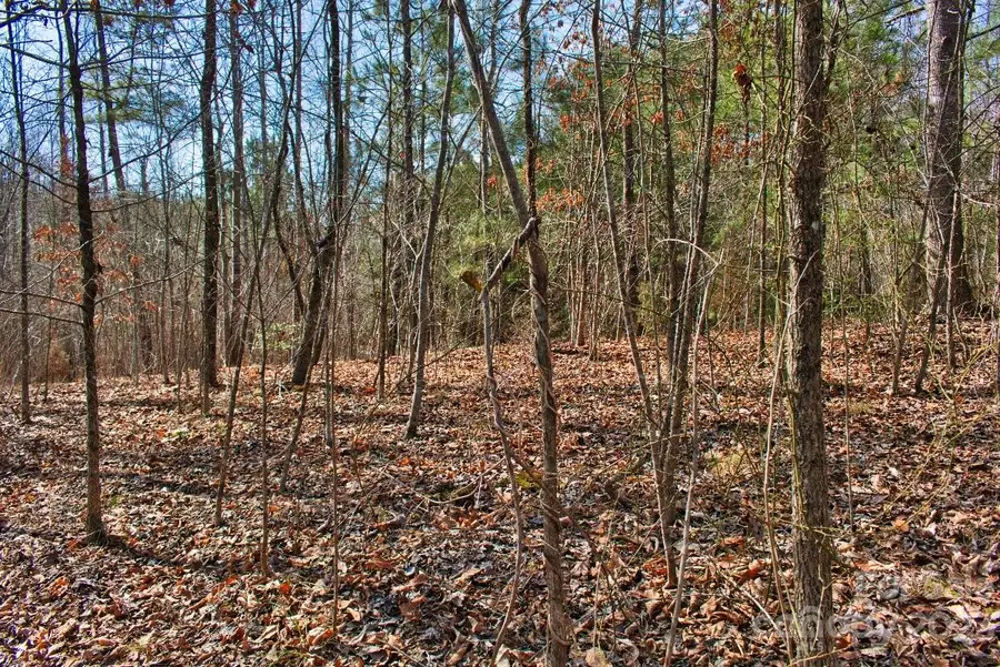 0 Woodstock Lane #170, Rutherfordton, NC 28139 - Image #3