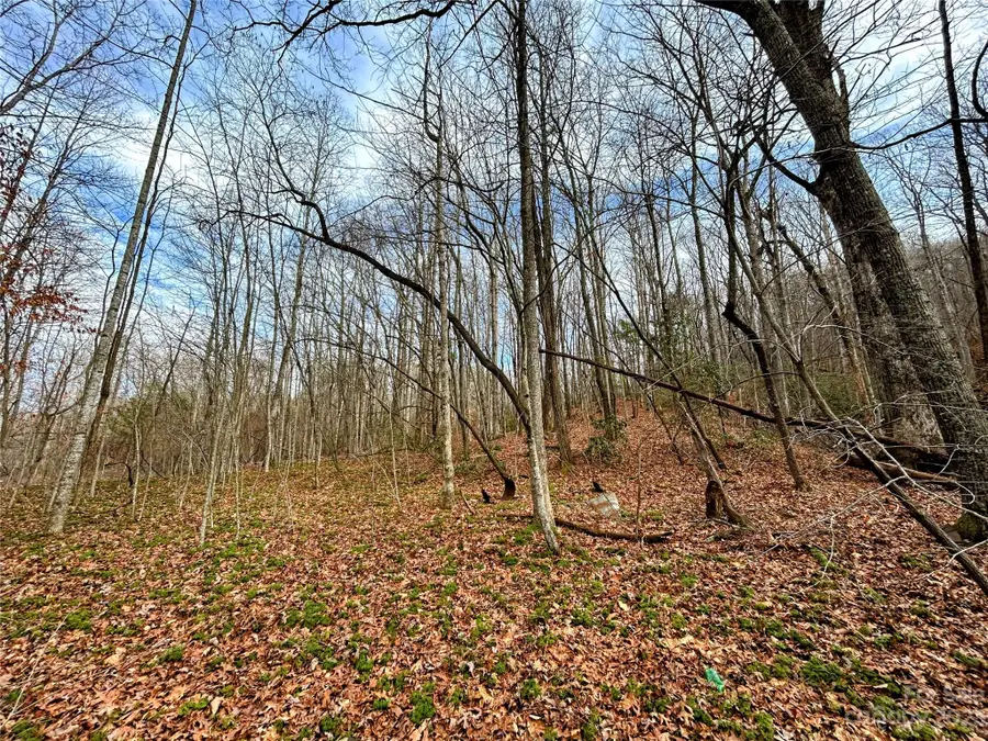 Lot 8 Azalea Way, Saluda, NC 28773 - Image #2