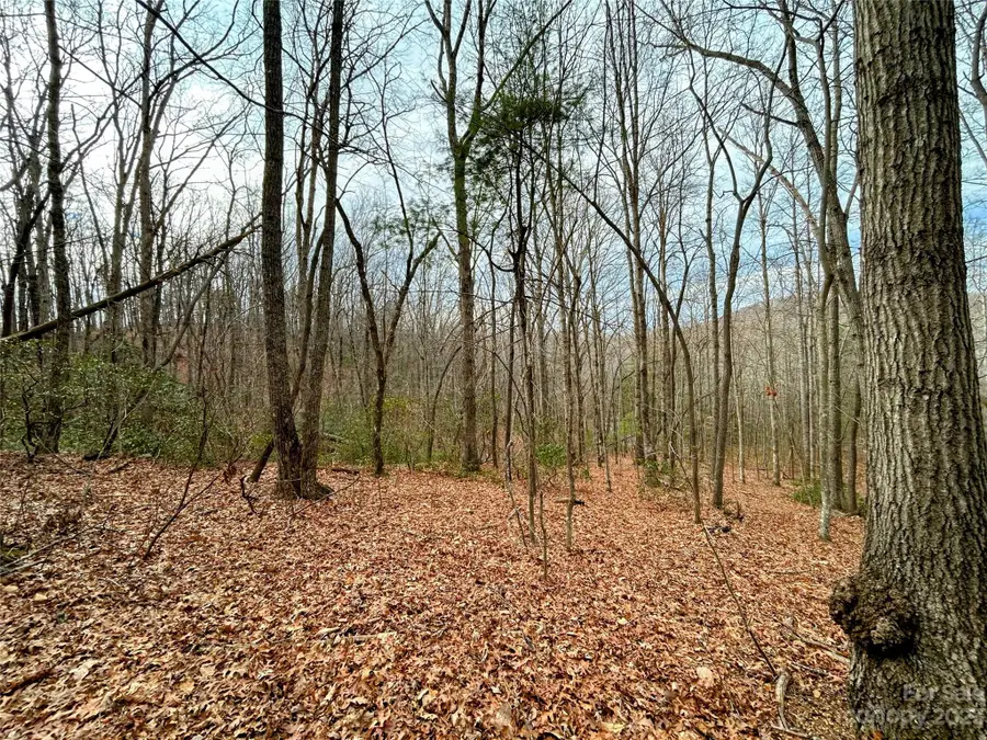 Lot 11 Rhododendron Drive, Saluda, NC 28773 - Image #2