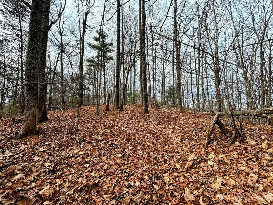Lot 12 Rhododendron Drive, Saluda, NC 28773 - Image #2