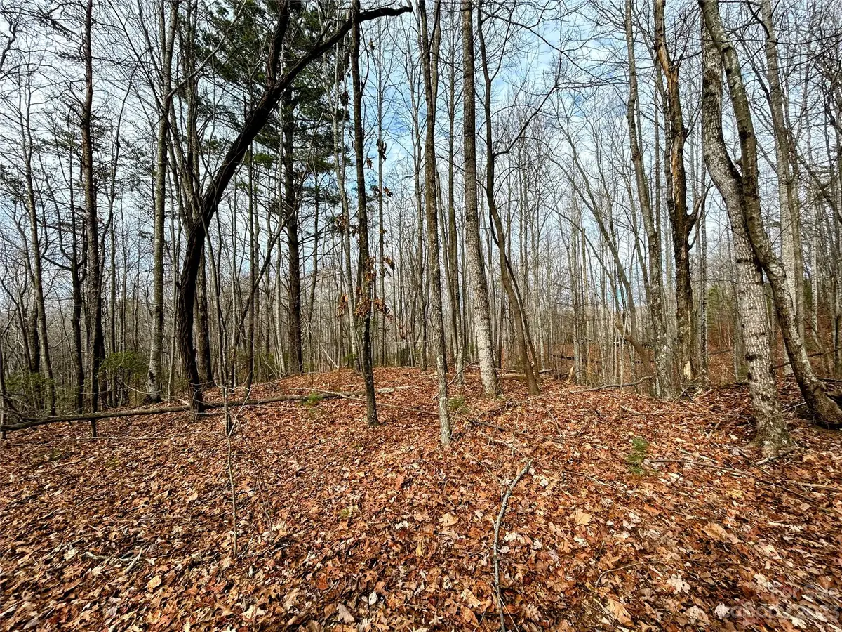 Lot 14 Rhododendron Drive, Saluda, NC 28773 - Image #1