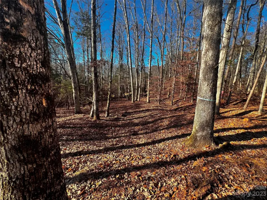 150 Copper Pine Lane #4, Davidson, NC 28036 - Image #3