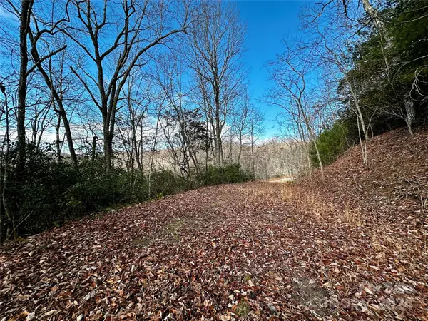 Lot 47 N Nickajack Road #47, Franklin, NC 28734