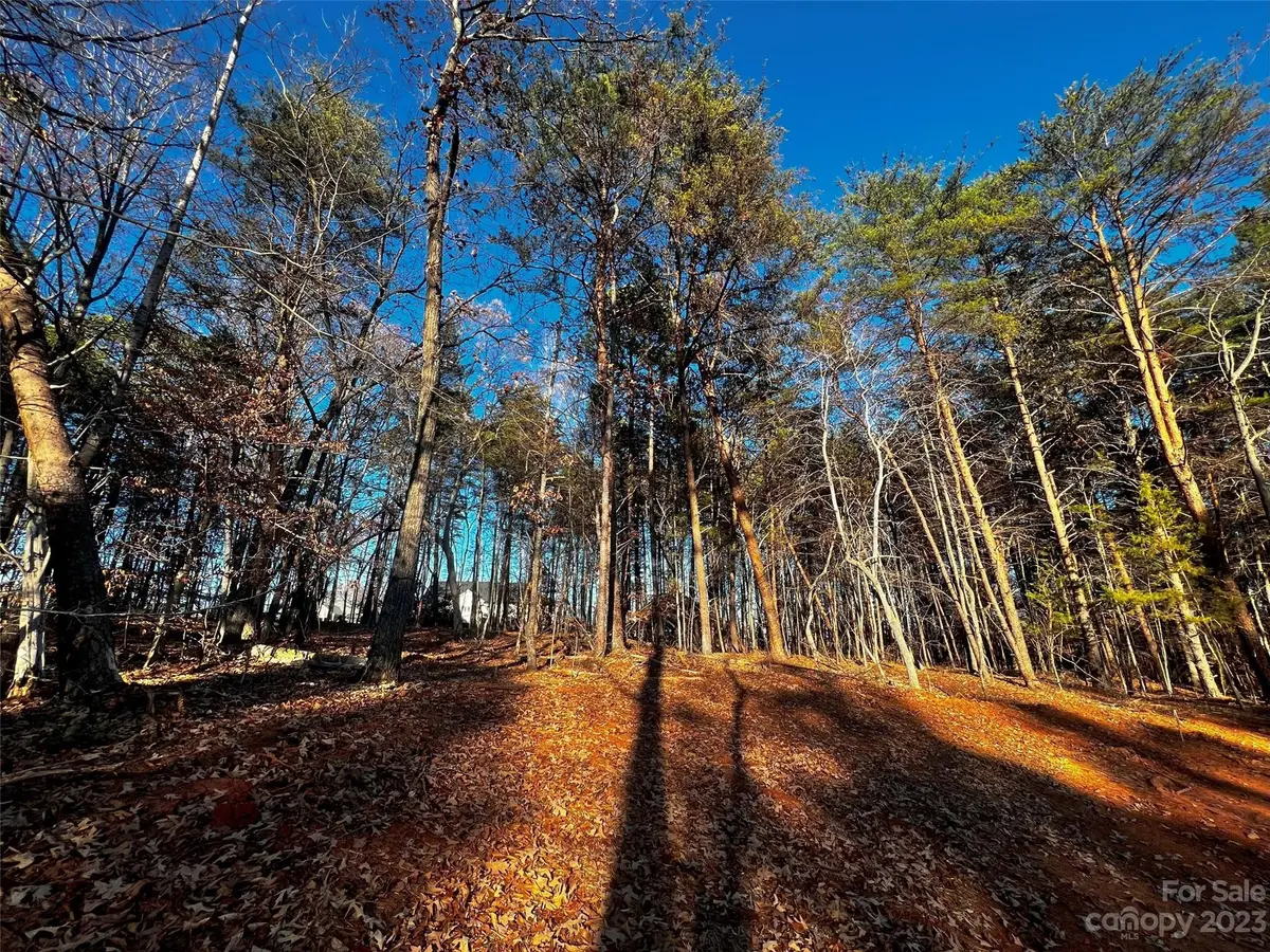 127 Hunt Camp Trail #16, Davidson, NC 28036 - Image #1