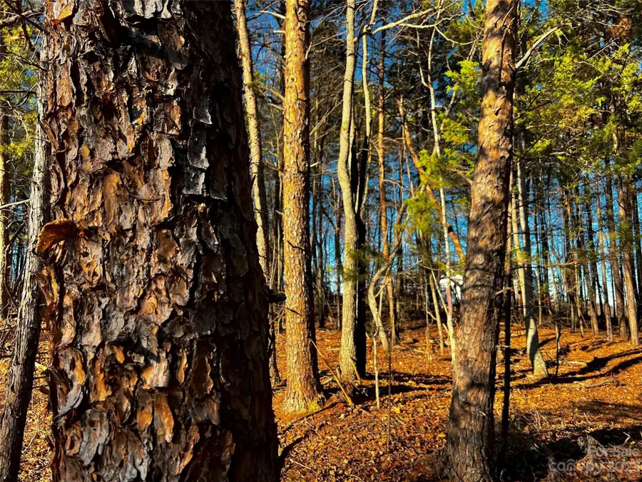 127 Hunt Camp Trail #16, Davidson, NC 28036 - Image #3