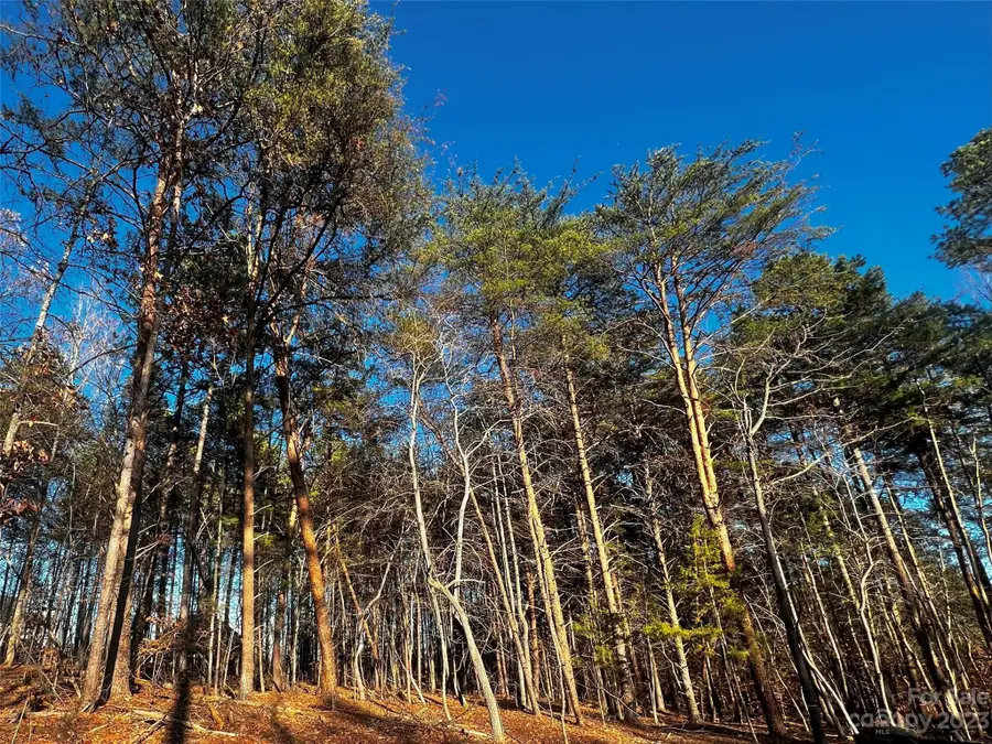 123 Hunt Camp Trail #17, Davidson, NC 28036 - Image #3