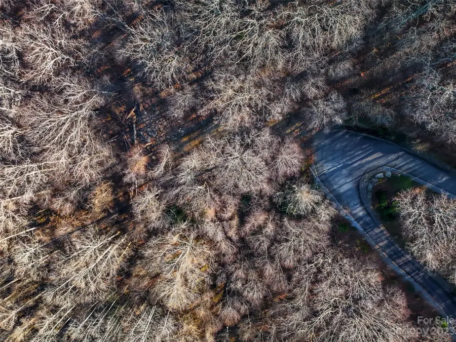 58 Flora Rose Trail #6A, Asheville, NC 28803 - Image #3