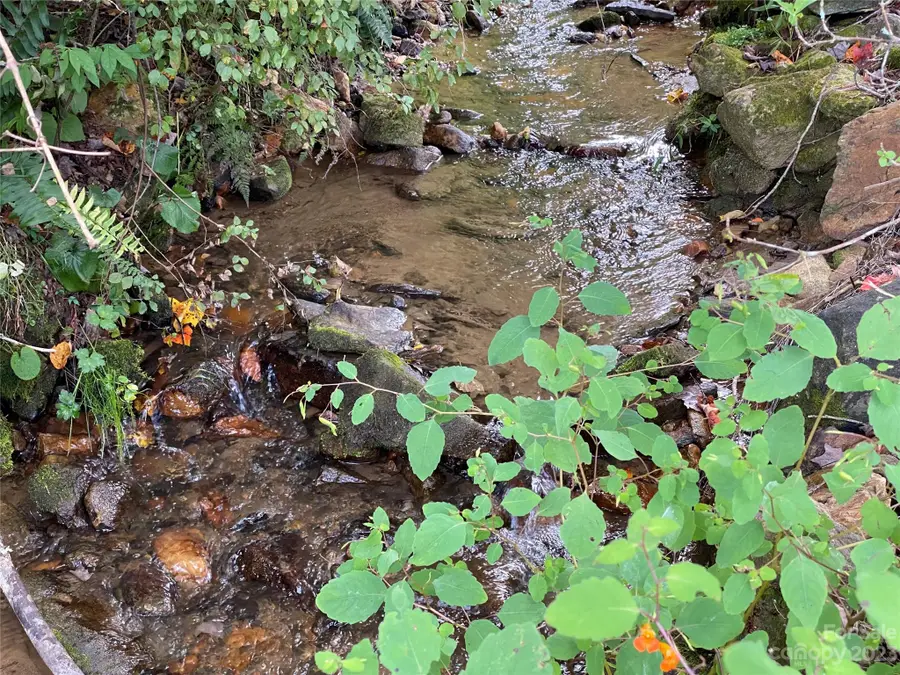 79 & 111 Hensley Branch Road, Burnsville, NC 28714 - Image #2