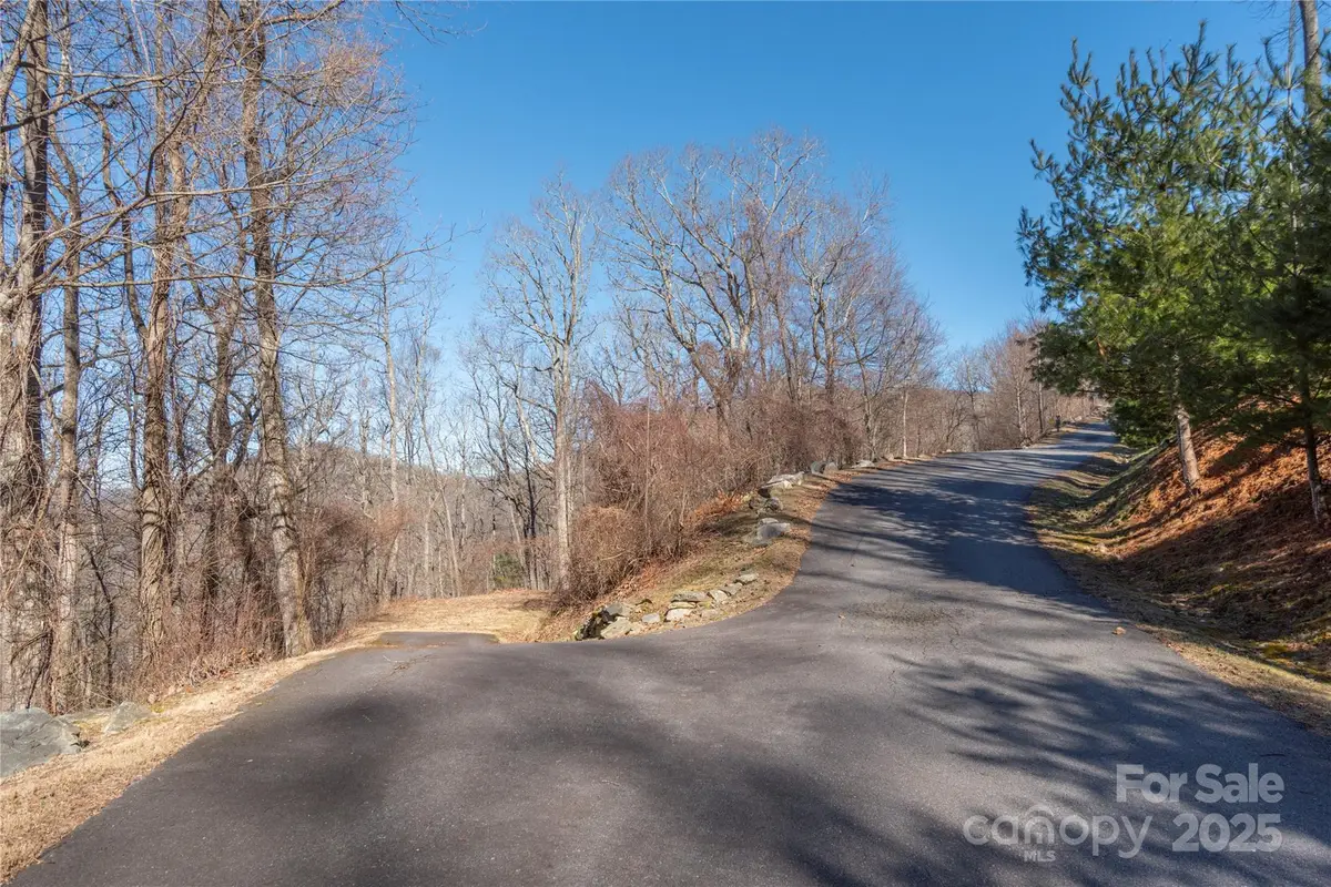 96 Castanea Mountain Drive, Asheville, NC 28803 - Image #1