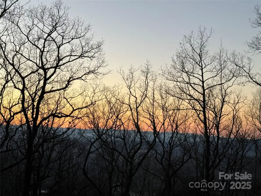 96 Castanea Mountain Drive, Asheville, NC 28803 - Image #2