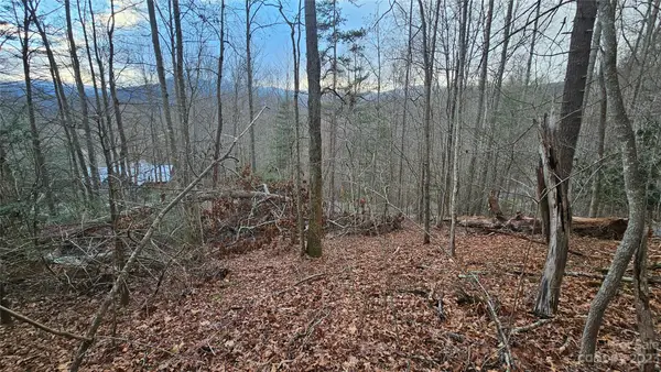 Lot 13 Seay Mountain Road, Waynesville, NC 28785