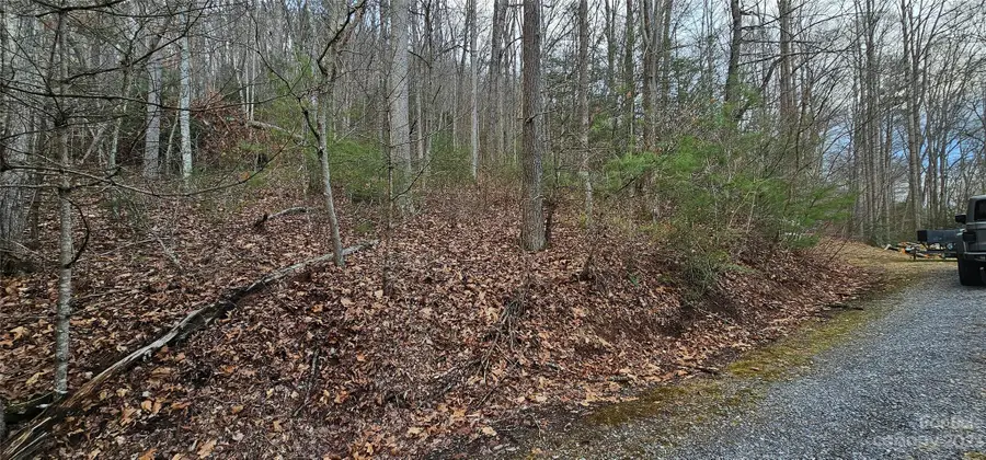 4 Lots Seay Mountain Road, Waynesville, NC 28785 - Image #2