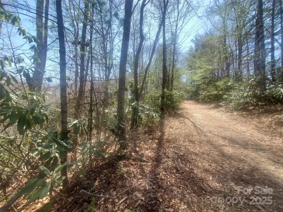 TBD Falcon Ridge Trail #Lot 227, West Jefferson, NC 28694 - Image #2
