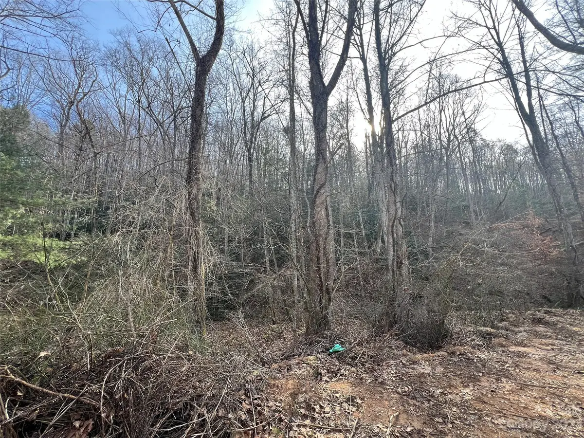 Lot 19 Oakdale Estates Drive, Old Fort, NC 28762 - Image #1