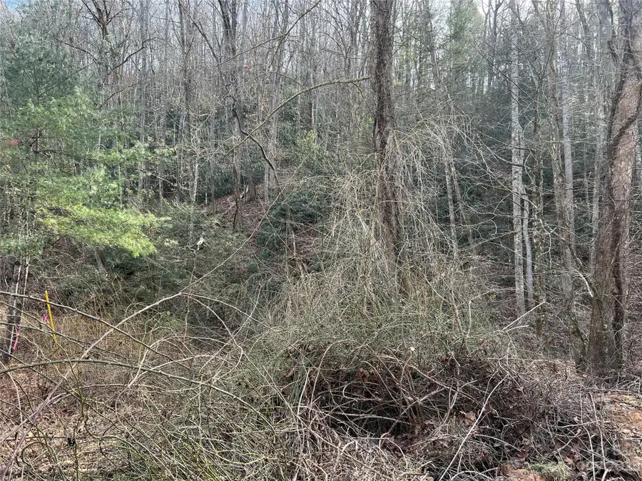 Lot 19 Oakdale Estates Drive, Old Fort, NC 28762 - Image #2