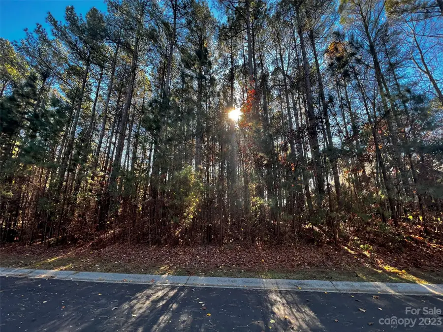 129 Sleepy Cove Trail #5, Mooresville, NC 28117 - #2