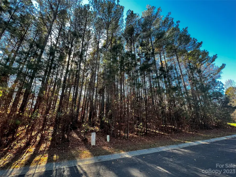 129 Sleepy Cove Trail #5, Mooresville, NC 28117 - #3