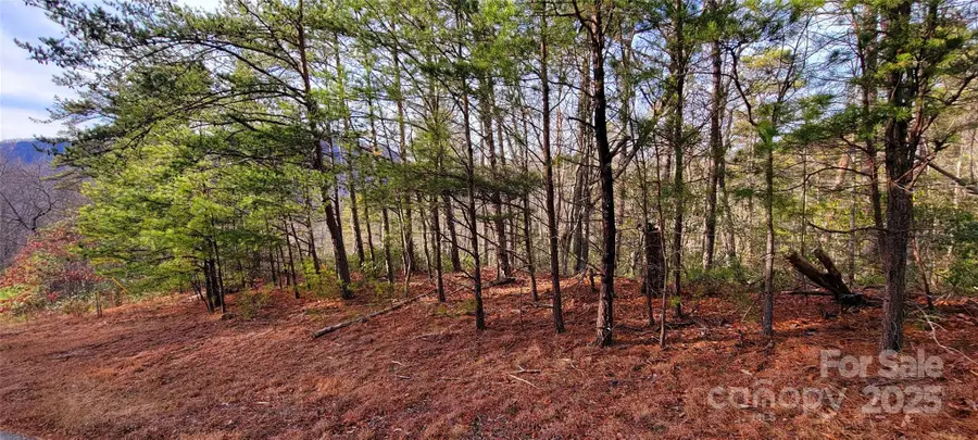 V/L Chickasaw Way #2B, Marion, NC 28752 - Image #2