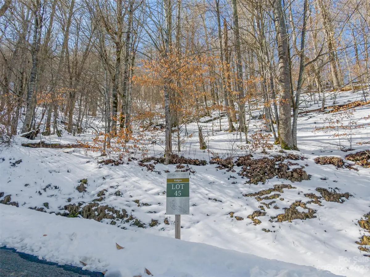 Lot 43 Black Bear Run, Mars Hill, NC 28754 - Image #1