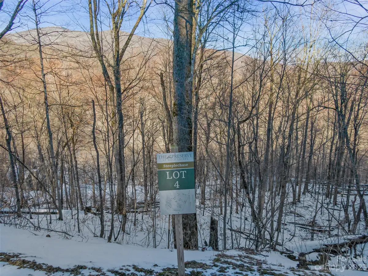 Lot 4 Mountain Gait Drive, Mars Hill, NC 28754 - Image #1